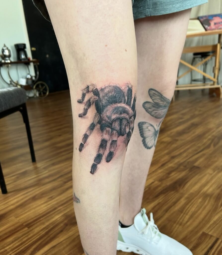 black and grey tarantula spider on knee