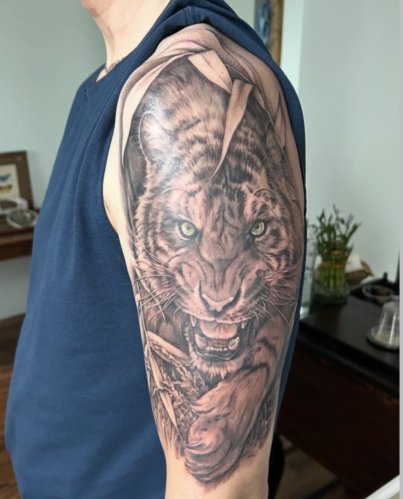 black and grey tiger with shading on outside upper arm