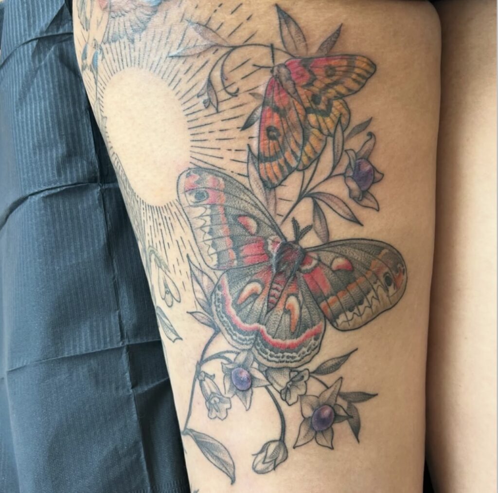 colorful butterflies and sunburst pattern with florals